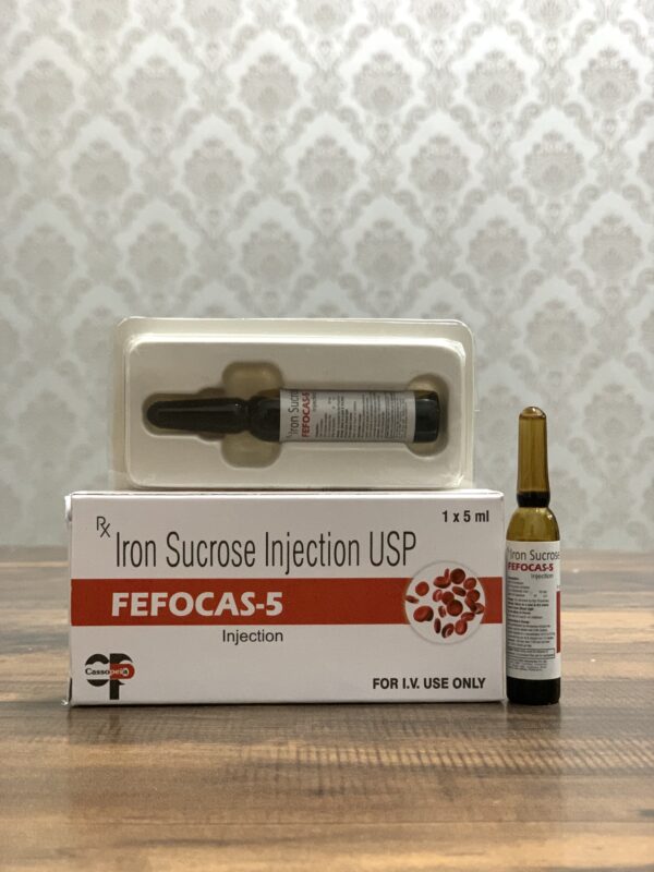 FEFOCAS-5 (2)